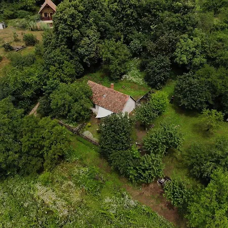 Zoeldhaz * Tapolca
